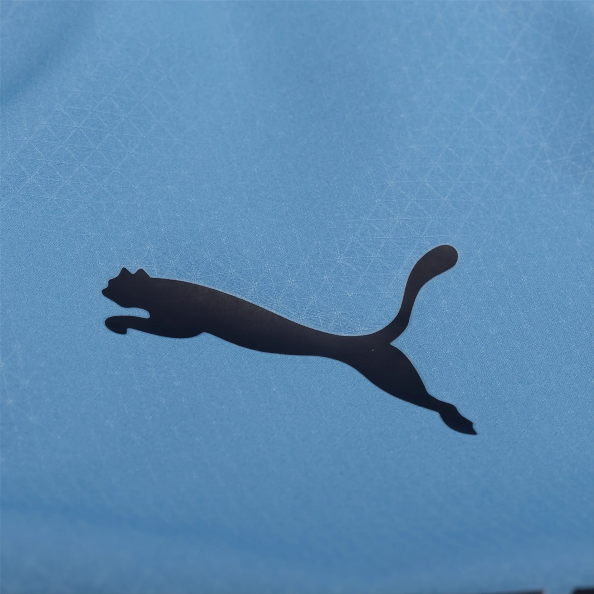 Puma Manchester City Authentic Nico Home Jersey w/ Champions League Patches 25/26 (Team Light Blue/White)